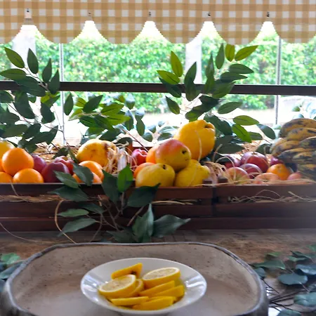 酒店 Olira Boutique Hotel&spa 3*