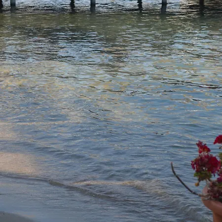 Olira Boutique Hotel&spa 酒店 3*