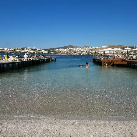 酒店 Olira Boutique Hotel&spa 3*